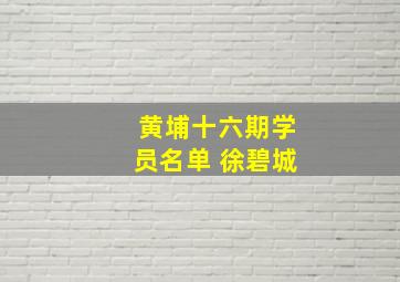 黄埔十六期学员名单 徐碧城